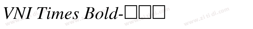 VNI Times Bold字体转换
